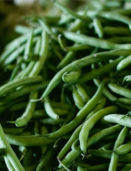 Haricot Vert Esp