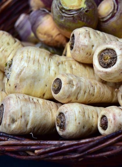 Panais Fra
