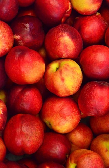 Pomme Anise