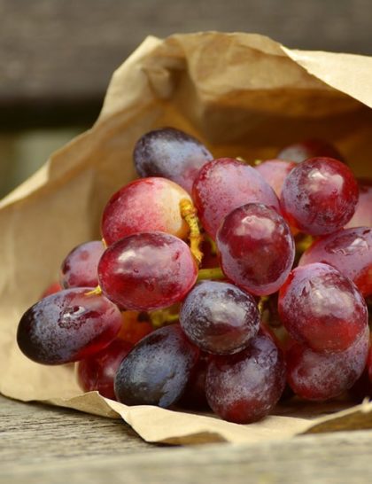 Raisins Ribol Noir France